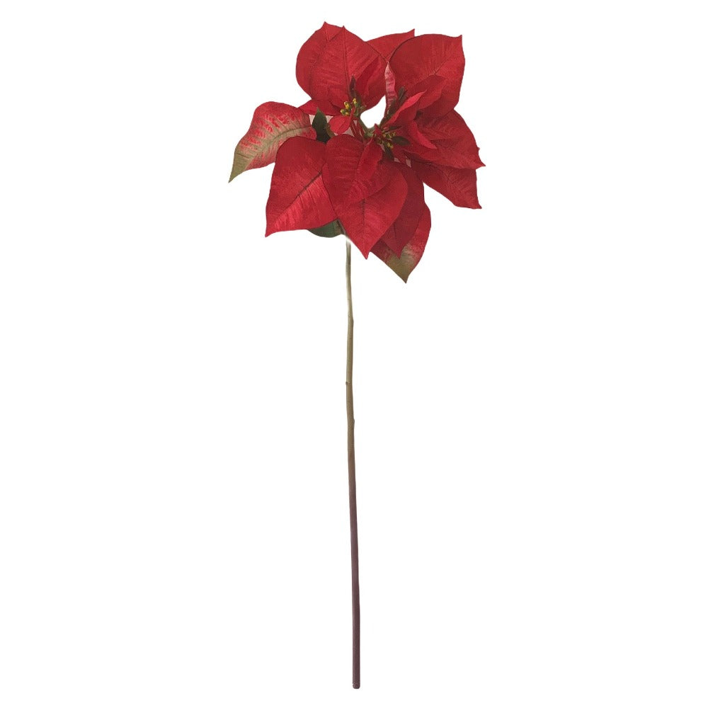 Red Poinsettia Stem