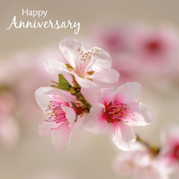 "Happy Anniversary" Floral Greeting Card | Putti Fine Furnishings 