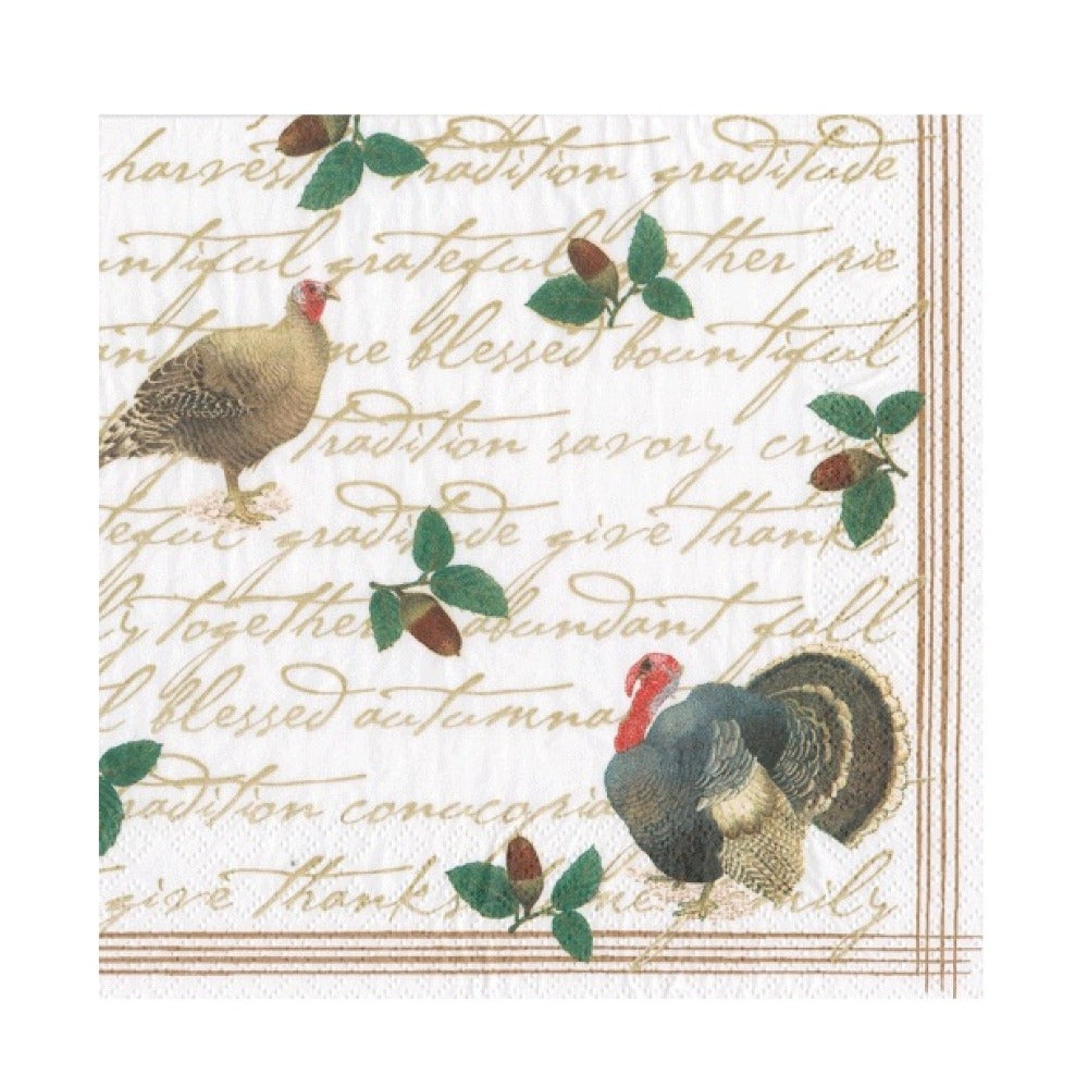 Founders Thanksgiving Paper Napkin -Lunch | Putti Celebrations  