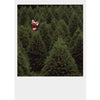 Palm Press Santa and Evergreens Boxed Christmas Cards | Putti