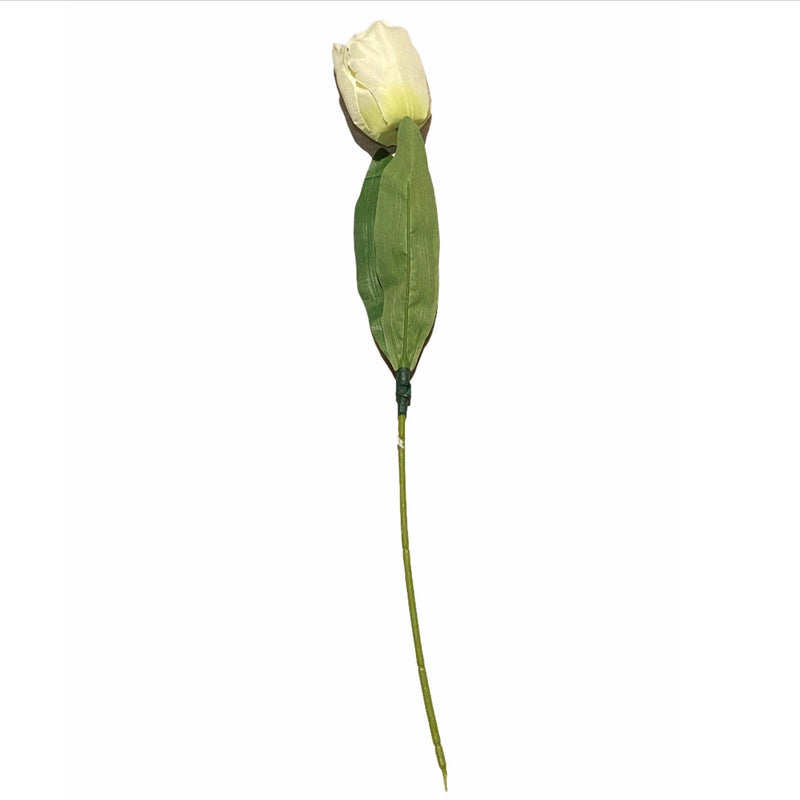 Blush White Tulip Stem
