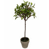 Sulivans Mini Leaf Topiary | Putti Fine Furnishings Canada