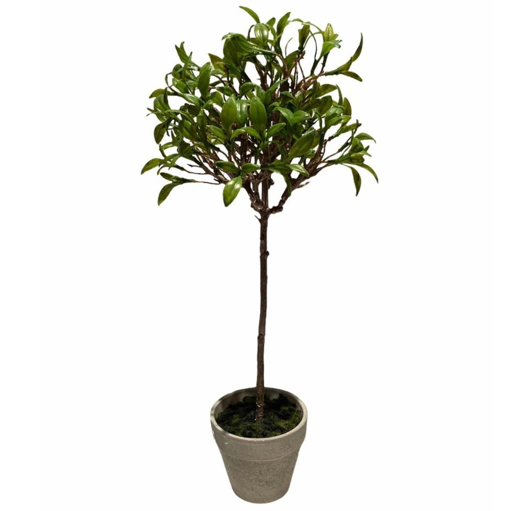 Sulivans Mini Leaf Topiary | Putti Fine Furnishings Canada 