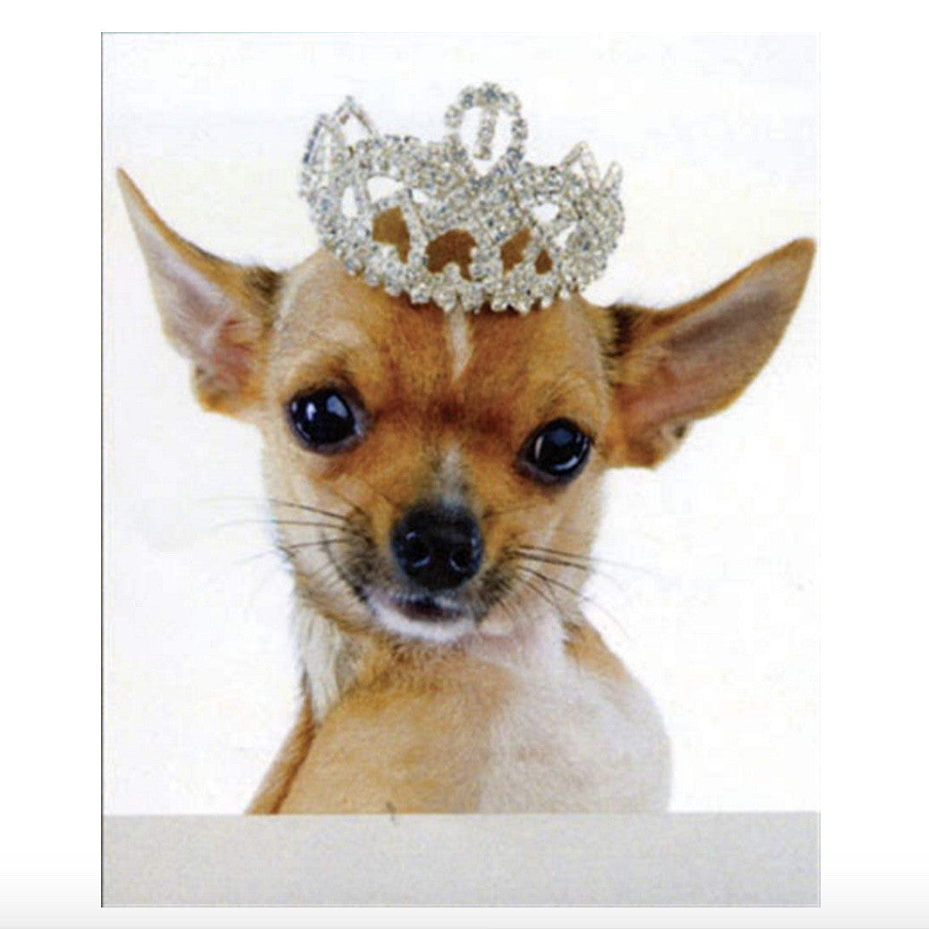  Chihuahua Greeting Card, Paper E Clips, Putti Fine Furnishings