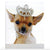  Chihuahua Greeting Card, Paper E Clips, Putti Fine Furnishings