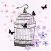 Bird Cage Greeting Card, JE-Jannex Enterprises, Putti Fine Furnishings