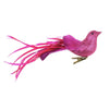 Fuchsia Glitter and Feather Bird with Clip -  Christmas - CT-Christmas Traditions - Putti Fine Furnishings Toronto Canada