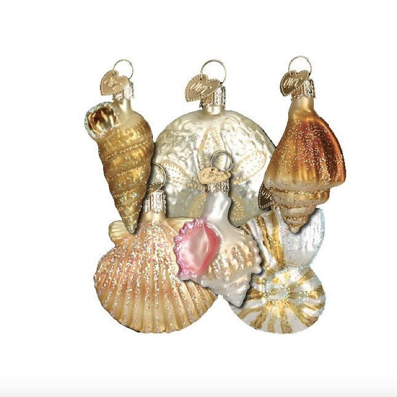  Old World Christmas Assorted Sea Shell Set of Ornaments, OWC-Old World Christmas, Putti Fine Furnishings