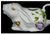  Floral Bunny Creamer, JLB-J L Bradshaws, Putti Fine Furnishings