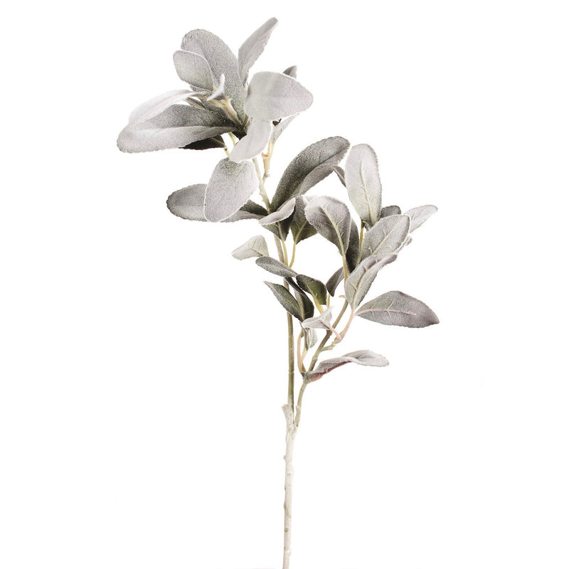 Snow Flocked Sage Leaves Spray | Putti Christmas Decorations Canada