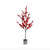 Red Berry Tree in Metal Pot