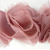 Miss Rose Sister Violet Small Ruffle Dusty Rose Braid, MRSV-Miss Rose Sister Violet, Putti Fine Furnishings
