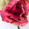 Miss Rose Sister Violet Organza Rose - Burgundy, MRSV-Miss Rose Sister Violet, Putti Fine Furnishings