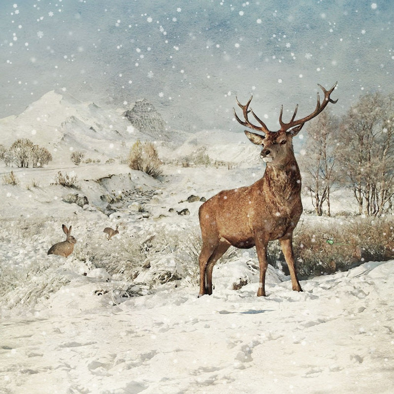 "Stag" Christmas Card