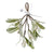 Christmas Mistletoe