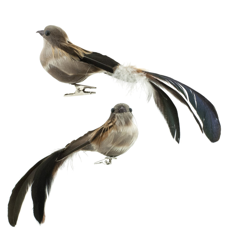 Brown Natural Feather Bird with Clip