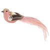 Pink with Brown Feather Bird with Clip