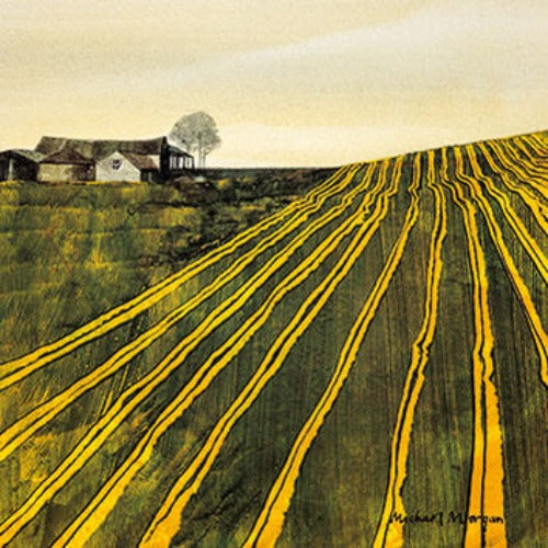 Yellow Fields Greeting Card | Putti Fine Furnishings 