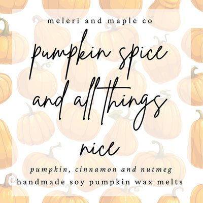 Pumpkin Patch Wax Melts 4pcs - Pumpkin Spice and All Things Nice  | Putti Fine Furnishings