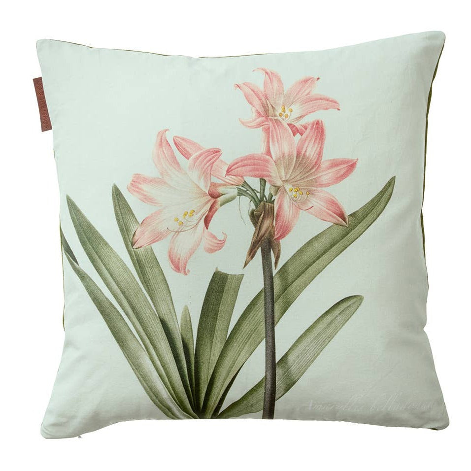 Amaryllis Belladonna Cushion