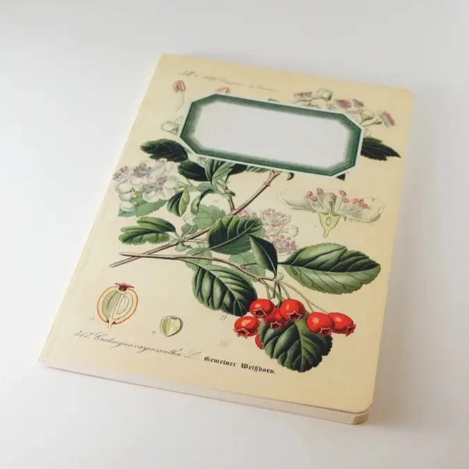 Botanical Notebook - Rosehip