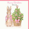 Flopsy Rabbit Pink Christmas Tree Card | Putti Fine Furnishings
