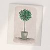 Olive Tree Swedish Cloth