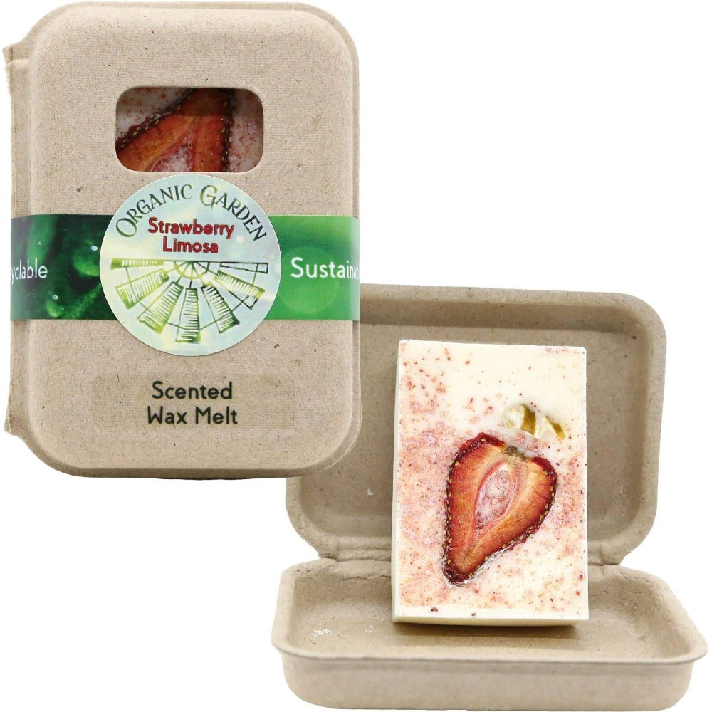Scented Wax Melts Wax Cubes - Wax Warmer Cubes/Tarts - Soy Wax Air  Freshener - Cinnamon, Pumpkin, Bamboo, Passion Fruit, Rosemary, Watermelon,  Honey