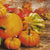 Pumpkin Paper Lunch Napkins