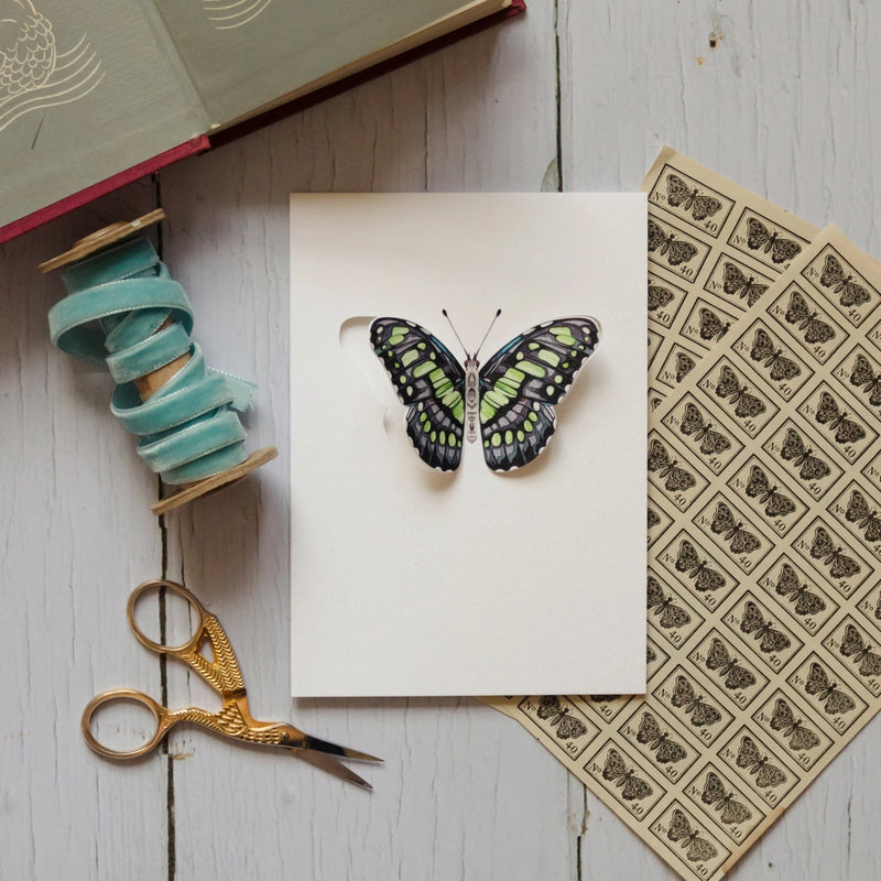 Green Malachite Butterfly 3D Greeting Card