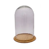Glass Cloche on Wooden Base - Large