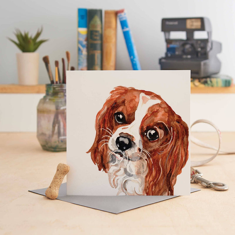 King Charles Spaniel Greeting Card