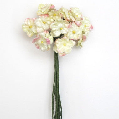  Miss Rose Sister Violet Forget Me Nots - Cream, MRSV-Miss Rose Sister Violet, Putti Fine Furnishings