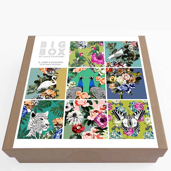 Big Box of Flora Fauna Cards | Putti Celebrations 