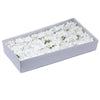 White Soap Petal Hydrangea | Putti Fine Furnishings