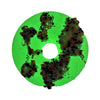 "Glownut" Donut with Sprinkles Bath Bomb - Blue | Le Petite Putti