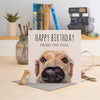 "Happy Birthday from the Dog" Greeting Card