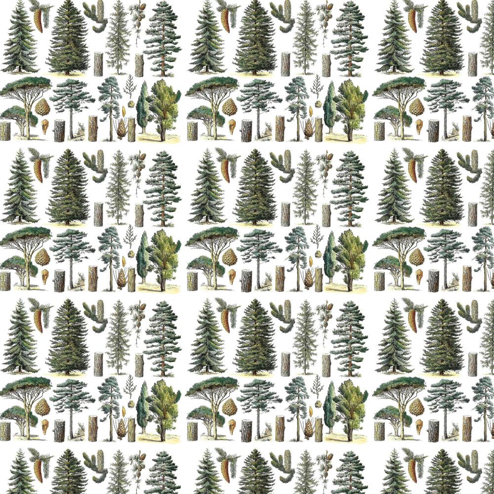 Conifer Forest Gift Wrap Roll