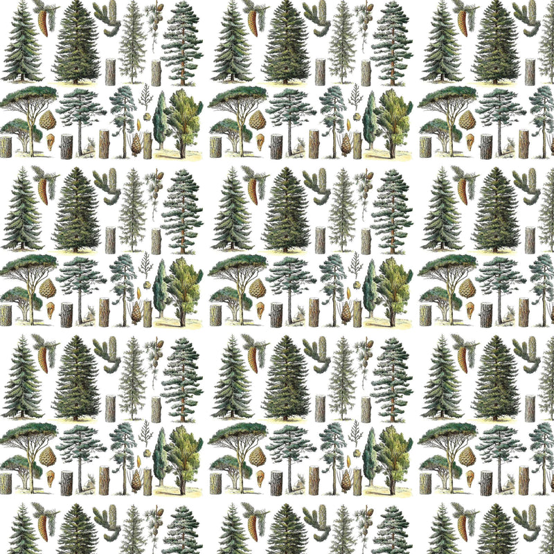 Conifer Forest Gift Wrap Roll