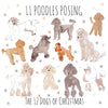11 Poodles Posing Christmas Card