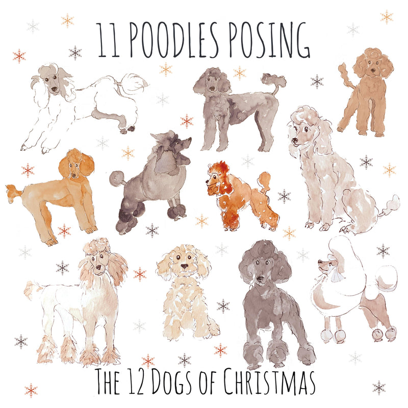 11 Poodles Posing Christmas Card