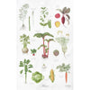 Kitchen Garden Organic Tea Towel | Putti Fine Furnishings Canada