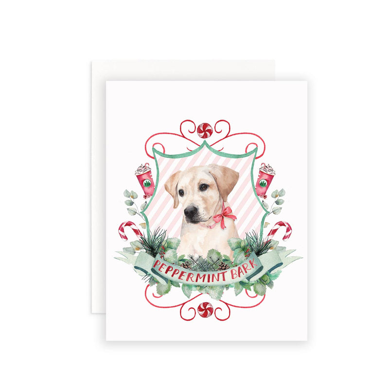 Peppermint Bark Boxed Christmas Cards