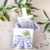L'Auguste Provence "Lavande" Lavender Sachet Gift Box