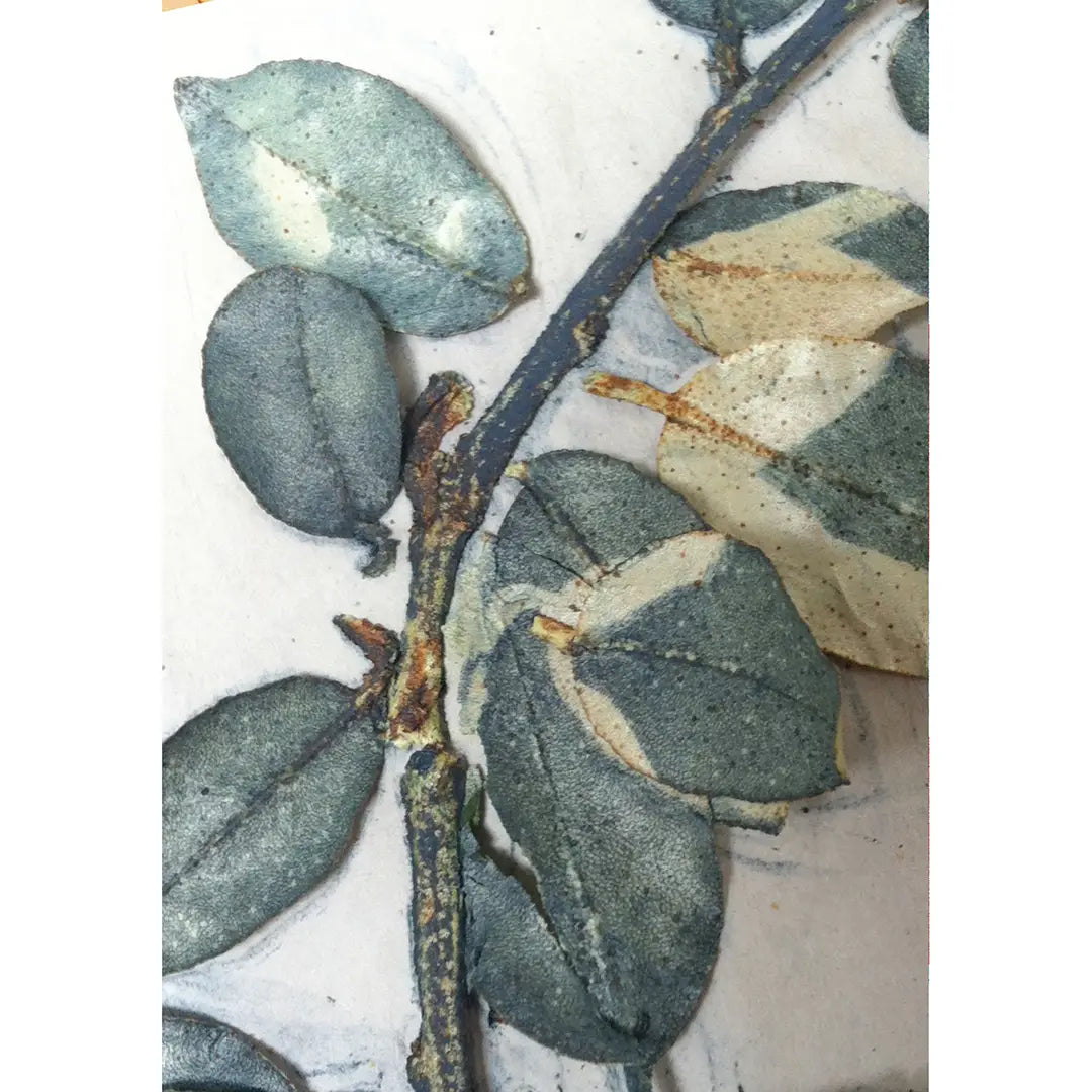 Botanical II Greeting Card | Putti Celebrations Canada 