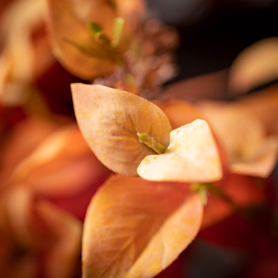 Fall Eucalyptus Wreath