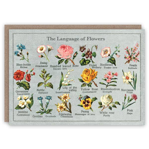 The Pattern Book Uk Language of Flowers Greeting Card | Putti 