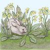 Fay's Studio Rabbits and Cowslips Greeting Card | Putti Fine Furnishings