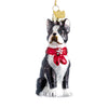 Kurt Adler Boston Terrier with Red Scarf Glass Ornament