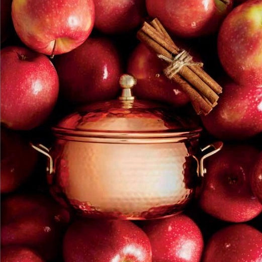 Thymes Simmered Cider Copper Pot Candle | Putti Fine Furnishings 